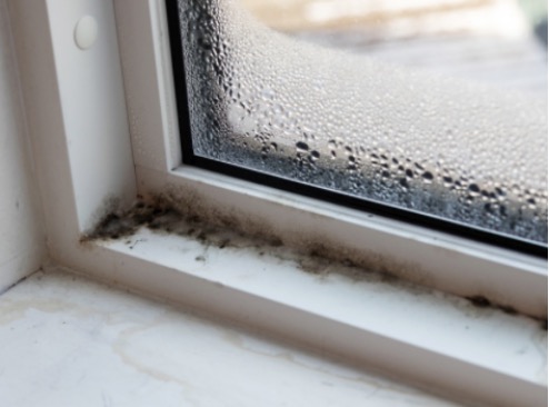 Screen Shot 2022-04-05 at 6.12.26 AM